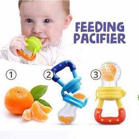 Baby Fruit Feeder Pacifier Food Feeder